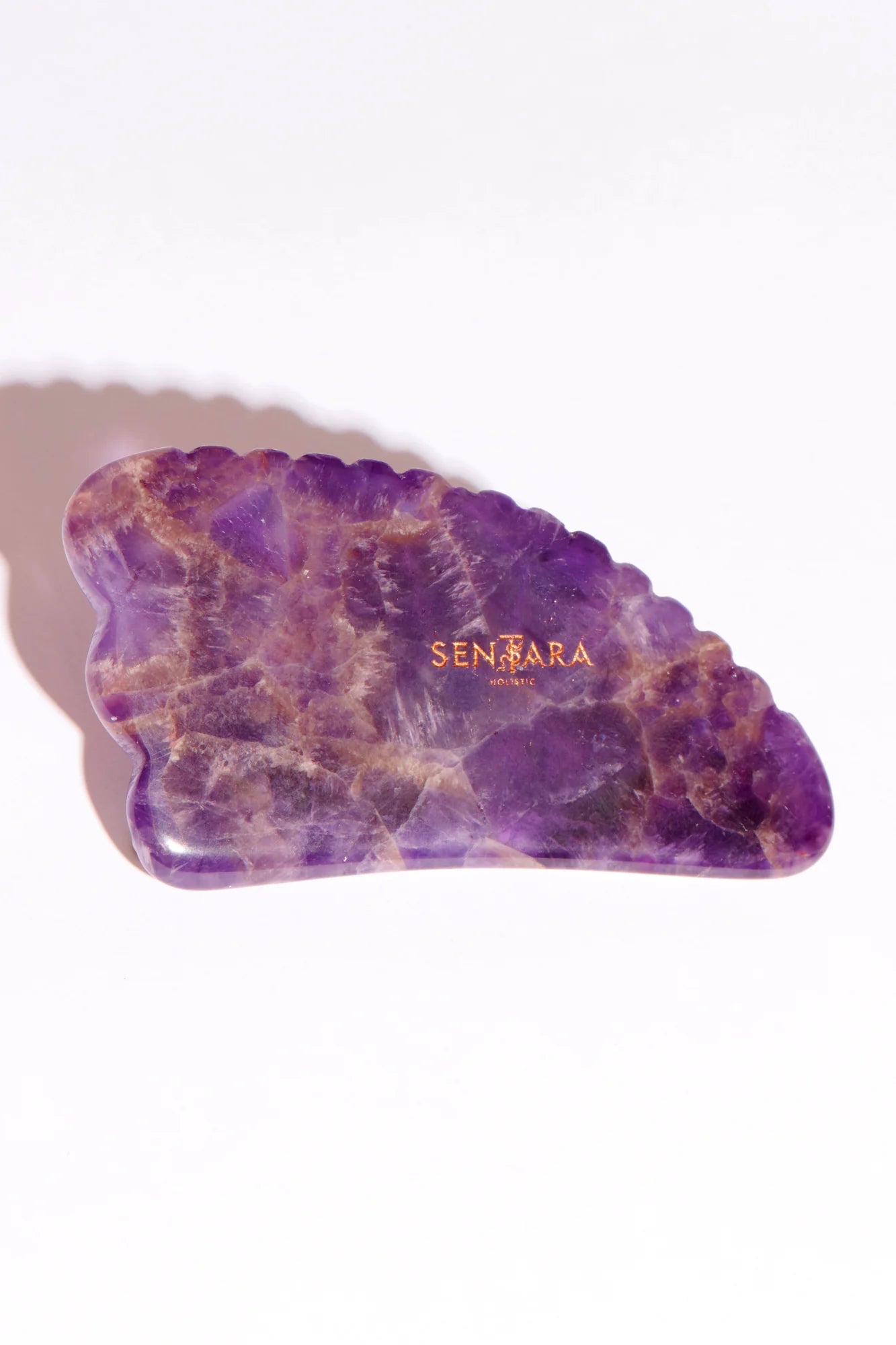 Gua Sha Corne à Dents - Améthystes