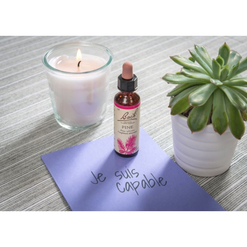 Pin Sylvestre (Pine) 20 ml