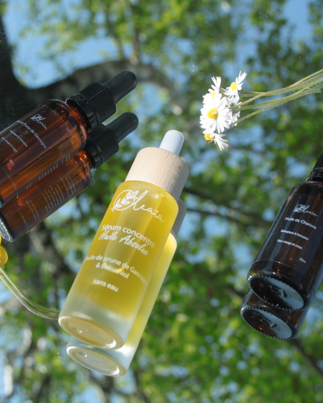 Sérum concentré à l'huile absolue