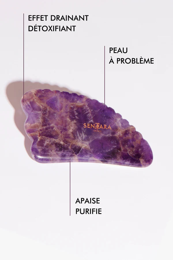 Gua Sha Corne à Dents - Améthystes