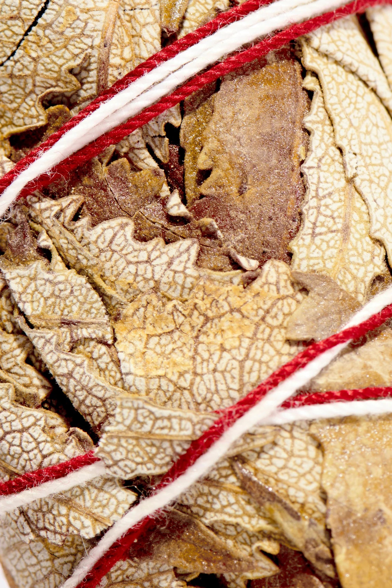Yerba Santa