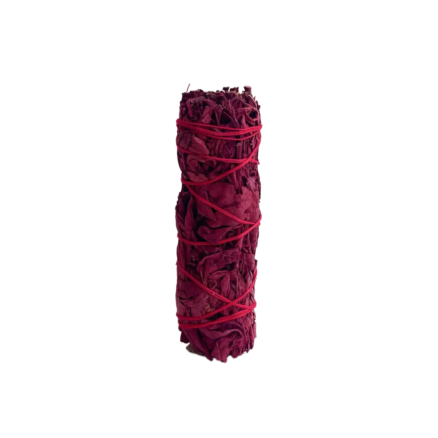 Blood Dragon