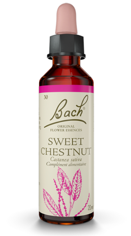 Chataignier (Sweet chestnut) 20 ml