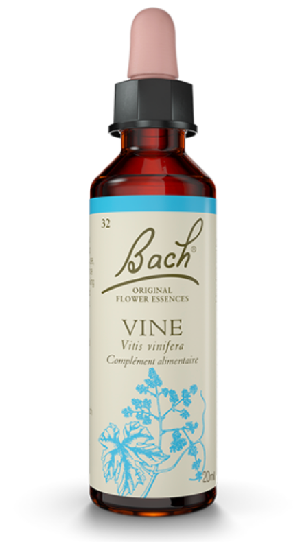 Vigne (Vine) 20 ml