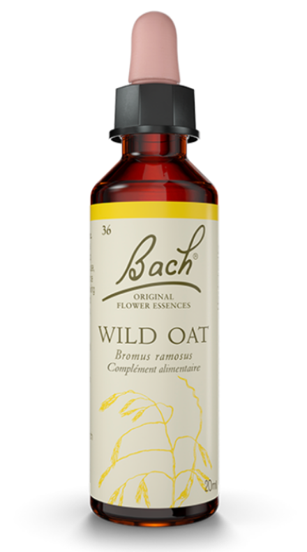 Folle avoine (Wild oat) 20 ml