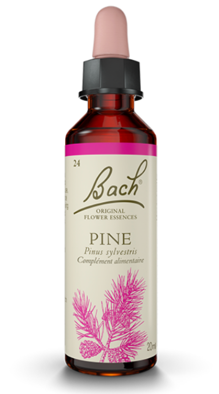 Pin Sylvestre (Pine) 20 ml