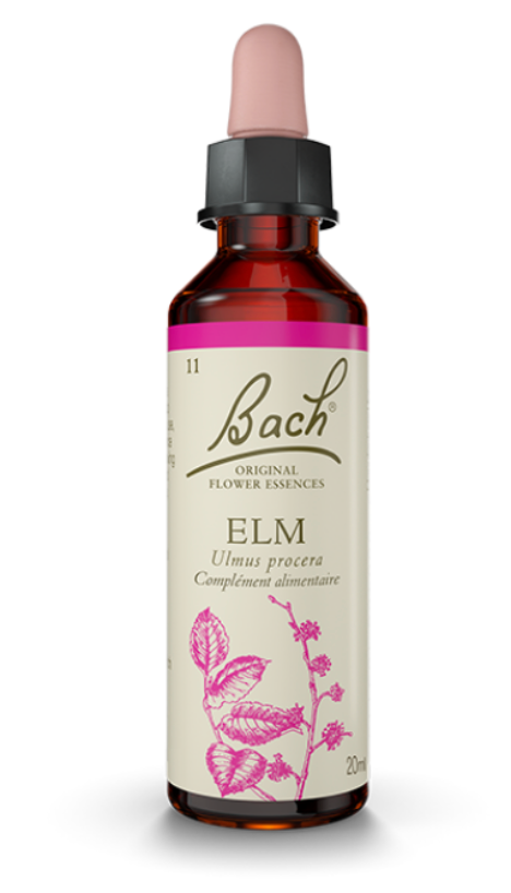 Orme (Elm) 20 ml