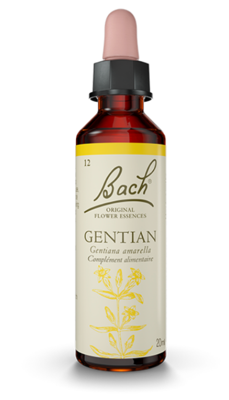 Gentiane (gentian) 20 ml