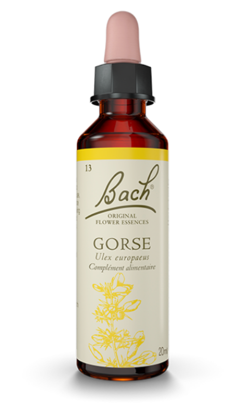 Ajonc (Gorse) 20 ml