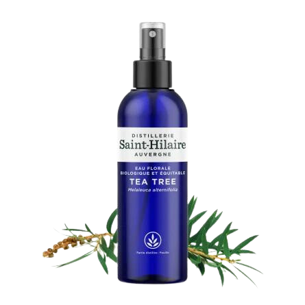 Hydrolat Tea tree BIO - Bouteille 200 ml
