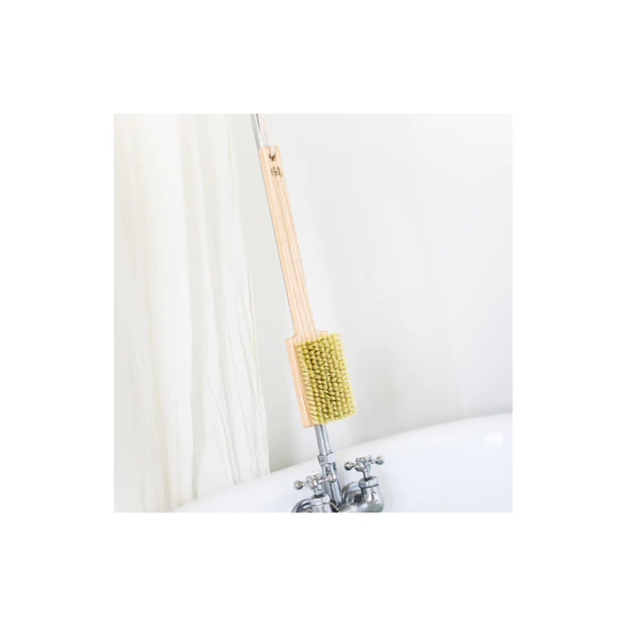 Brosse de bain manche fixe