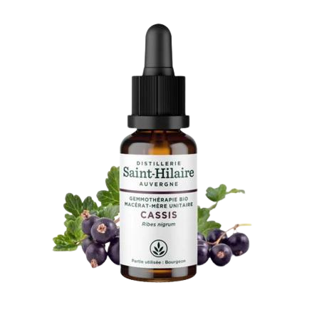 Macérat de Cassis BIO - 30 ml