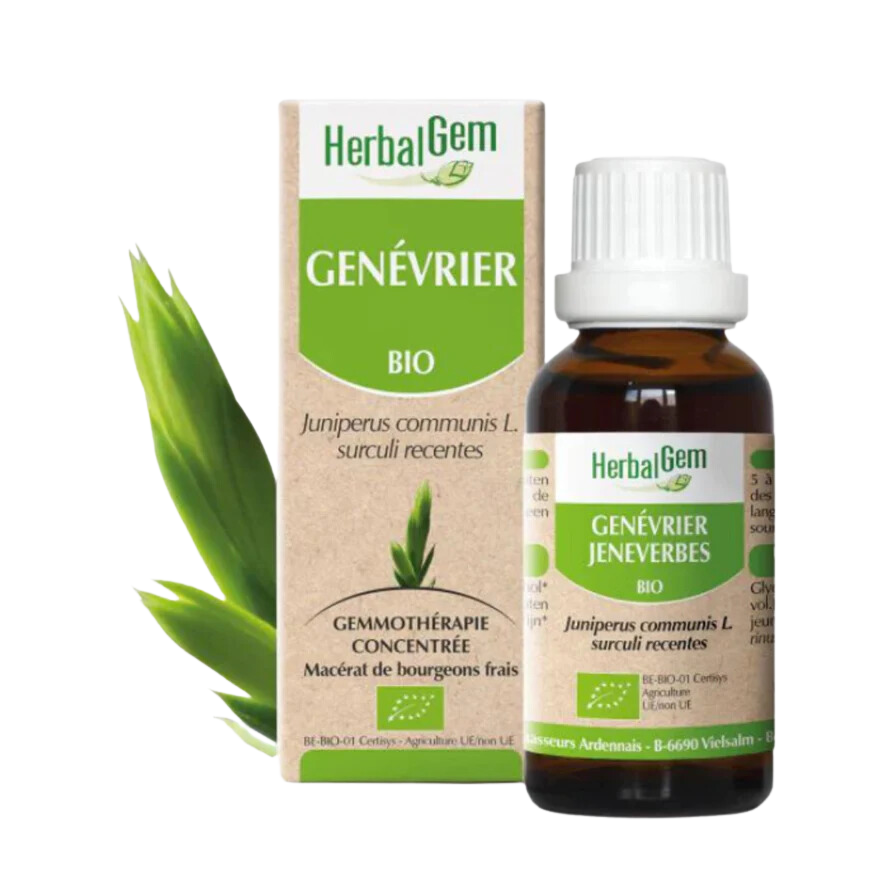 Genévrier BIO - 30 ml