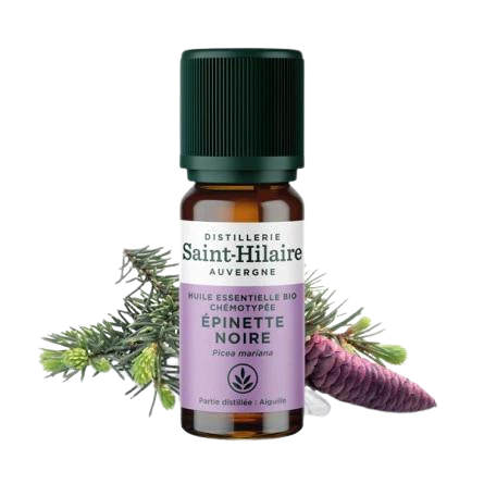 Huile Essentielle Epinette noire BIO - 10 ml