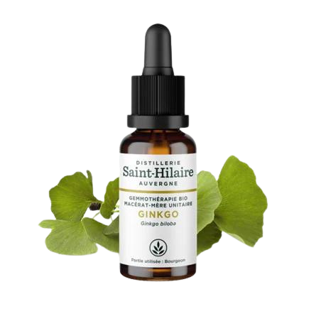 Macérat de Ginkgo BIO - 30 ml