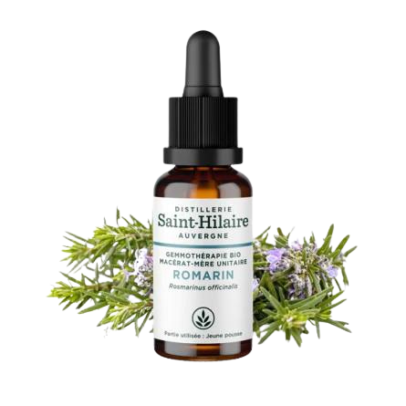 Macérat de Romarin BIO - 30 ml