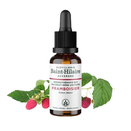 Macérat de Framboisier BIO - 30 ml
