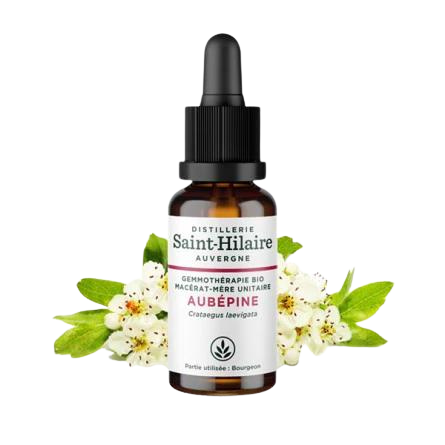 Macérat d'Aubépine BIO - 30 ml
