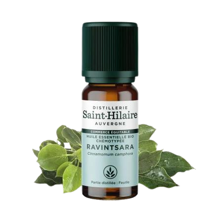 Huile Essentielle Ravintsara BIO - 10 ml