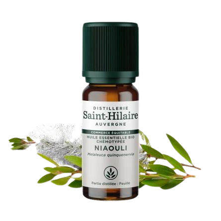 Huile Essentielle Niaouli BIO - flacon 10 ml