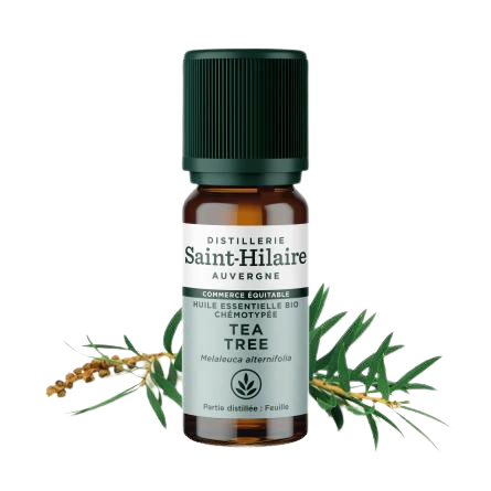 Huile Essentielle Tea tree BIO - 10 ml /50 ml