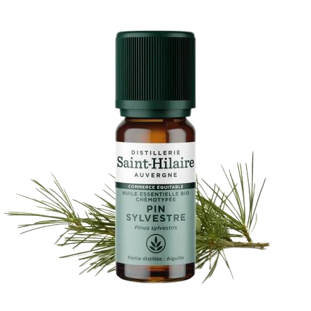 Huile Essentielle Pin Sylvestre BIO - 10ml