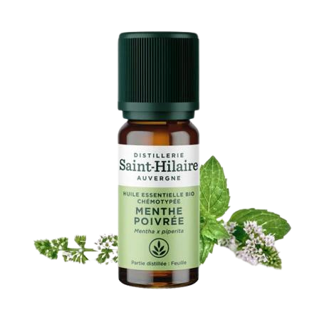 Huile Essentielle Menthe poivrée BIO - 10 ml