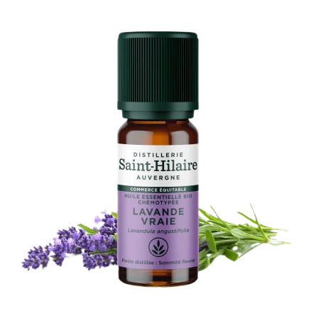 Huile Essentielle Lavande vraie BIO - 10 ml/50 ml