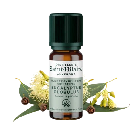 Huile Essentielle Eucalyptus Globulus BIO - 10 ml