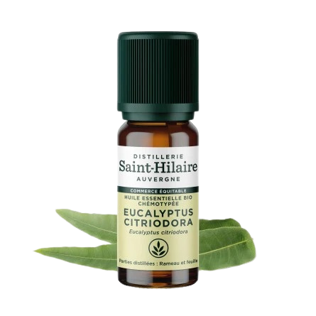 Huile Essentielle Eucalyptus Citriodora BIO - 10 ml
