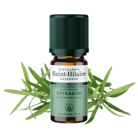 Huile Essentielle Estragon BIO - 5 ml