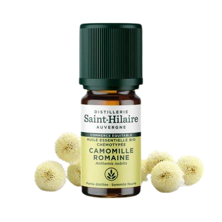 Huile essentielle de Camomille romaine - 5 ml