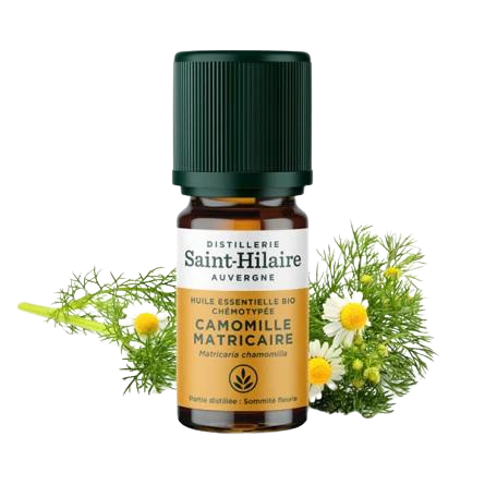 Huile Essentielle de Camomille Matricaire BIO - 5 ml