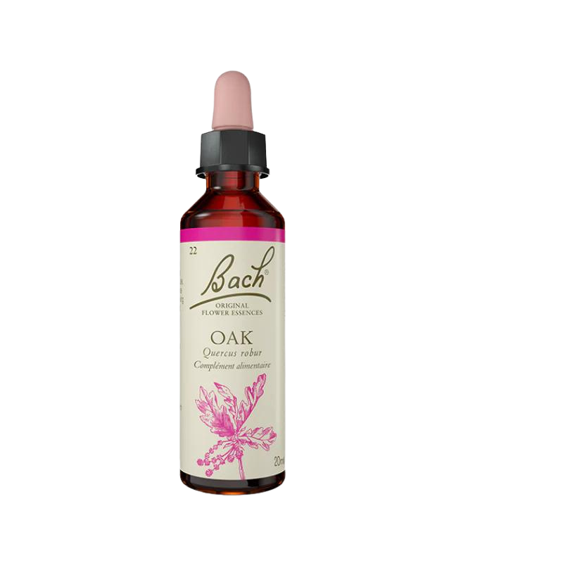 Chêne (Oak) 20 ml