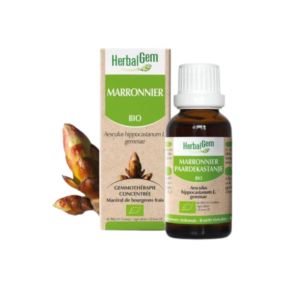 Marronnier BIO - 30 ml
