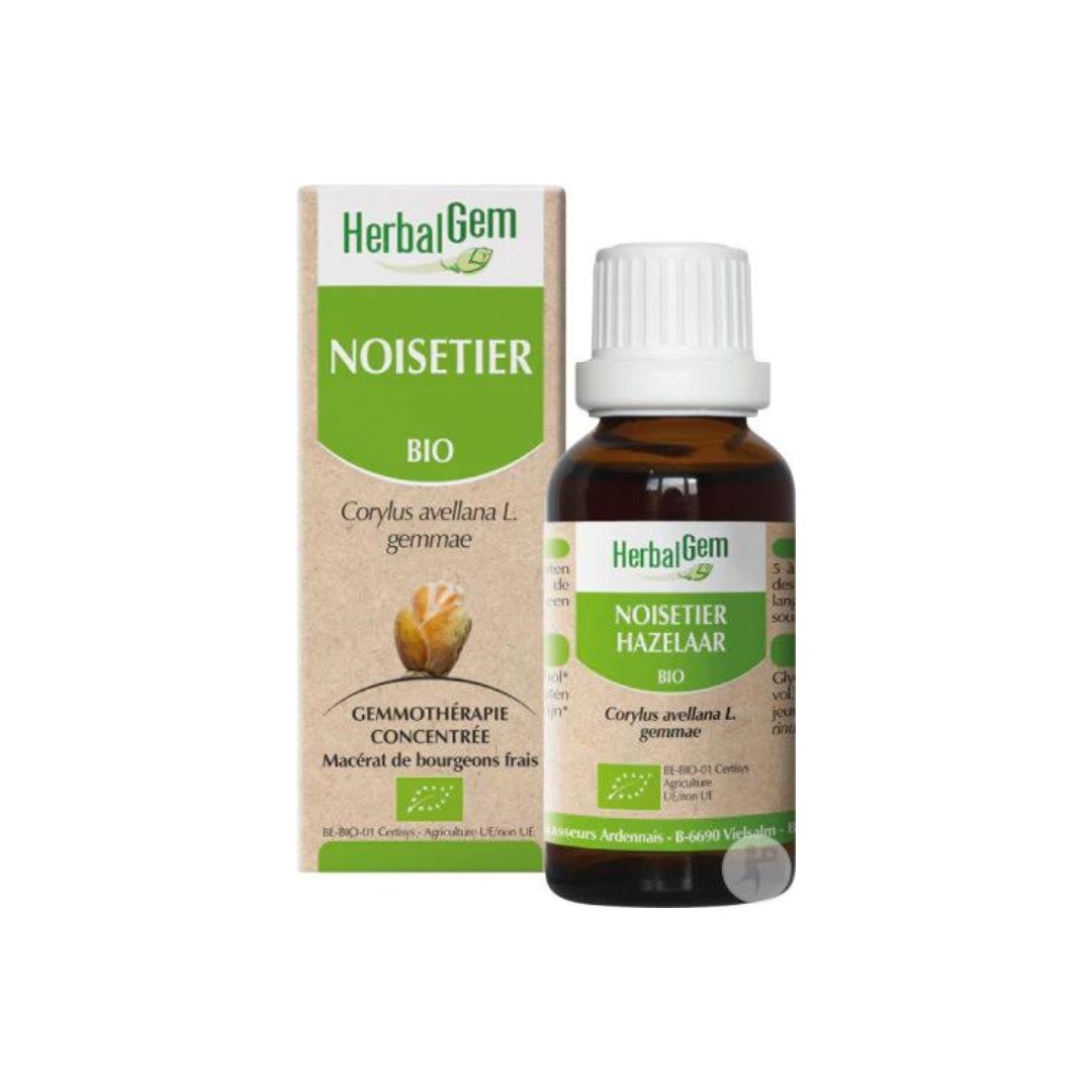Noisetier BIO - 30 ml
