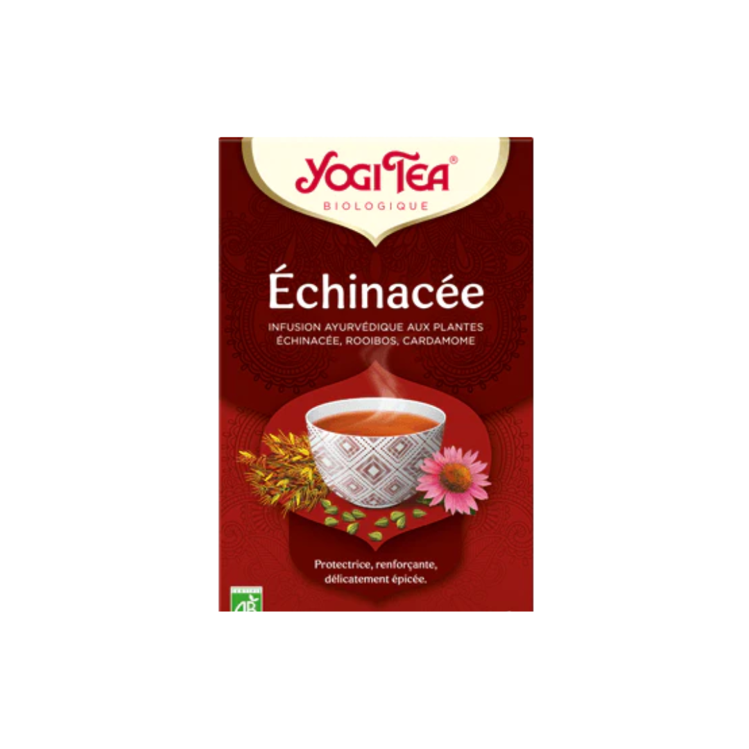 Échinacéa