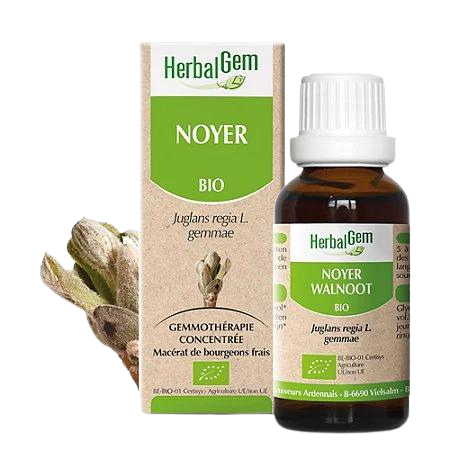 Noyer BIO - 30 ml