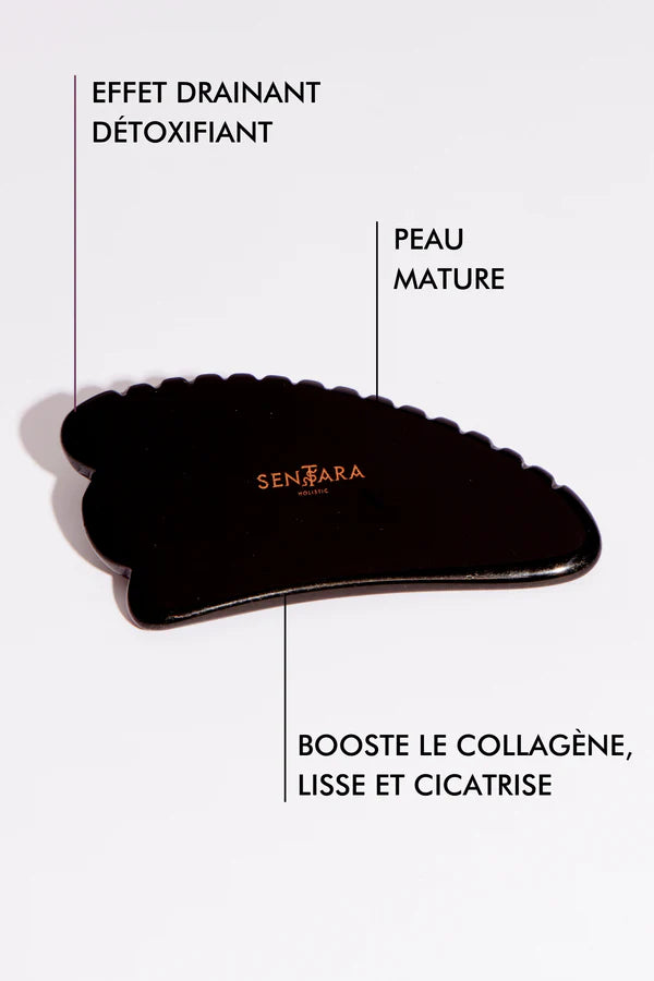OBSIDIENNE NOIRE CORNE A DENTS