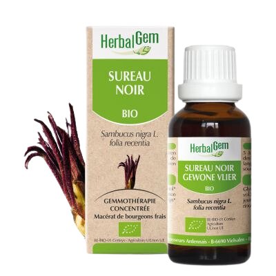 Sureau Noir BIO - 30 ml