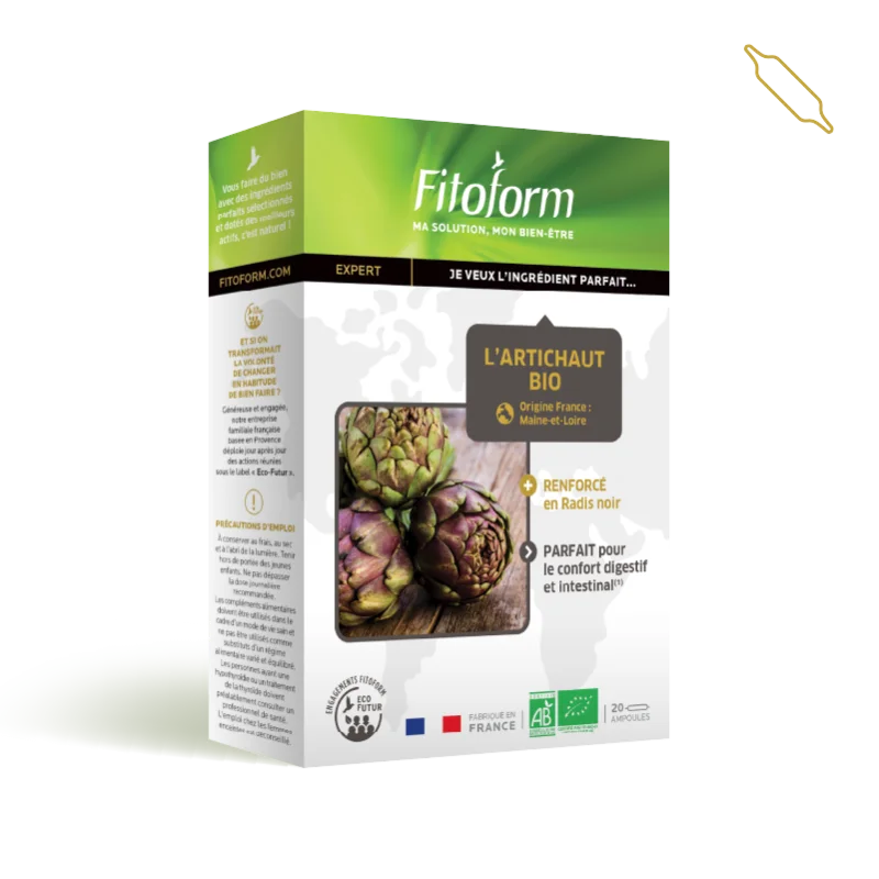 Artichaut français BIO