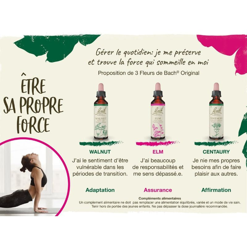 Centaurée (Centaury) 20 ml