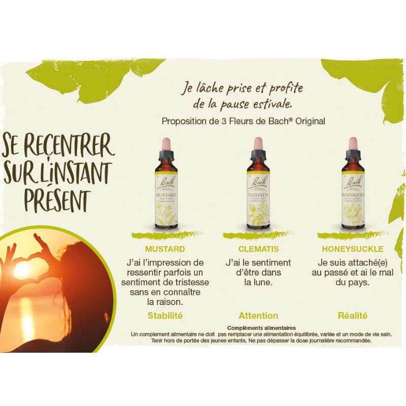Chèvrefeuille (Honeysuckle) 20 ml
