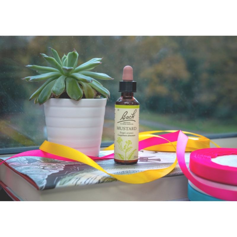 Moutarde (Mustard) 20 ml