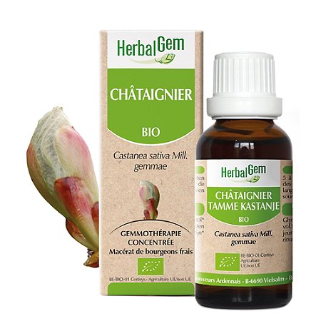 Châtainier BIO - 30 ml