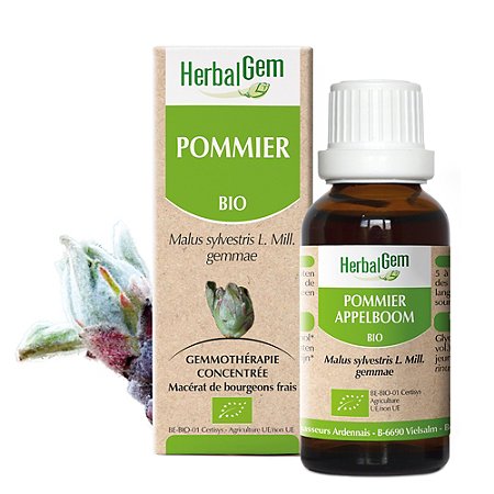 Pommier BIO - 30 ml
