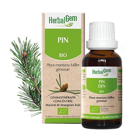 Pin des montagnes BIO - 30 ml