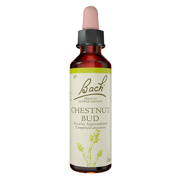 Bourgeon marron (Chestnut bud) 20 ml