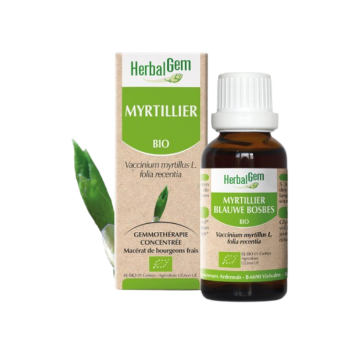 Myrtillier BIO - 30 ml