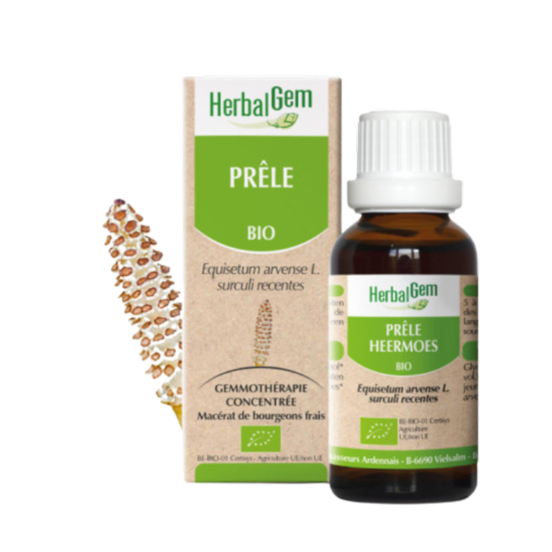 Prêle BIO - 30 ml